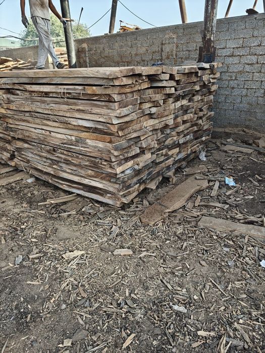 Taxtala bor yasin chinor