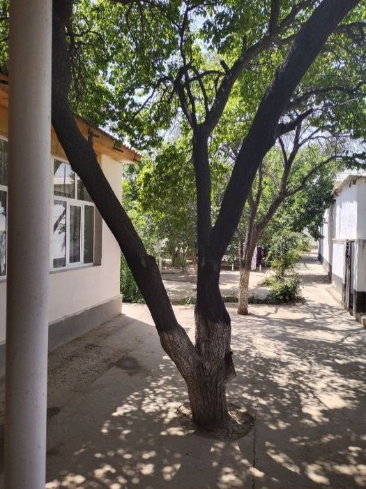 Продаётся Дом 6 соток