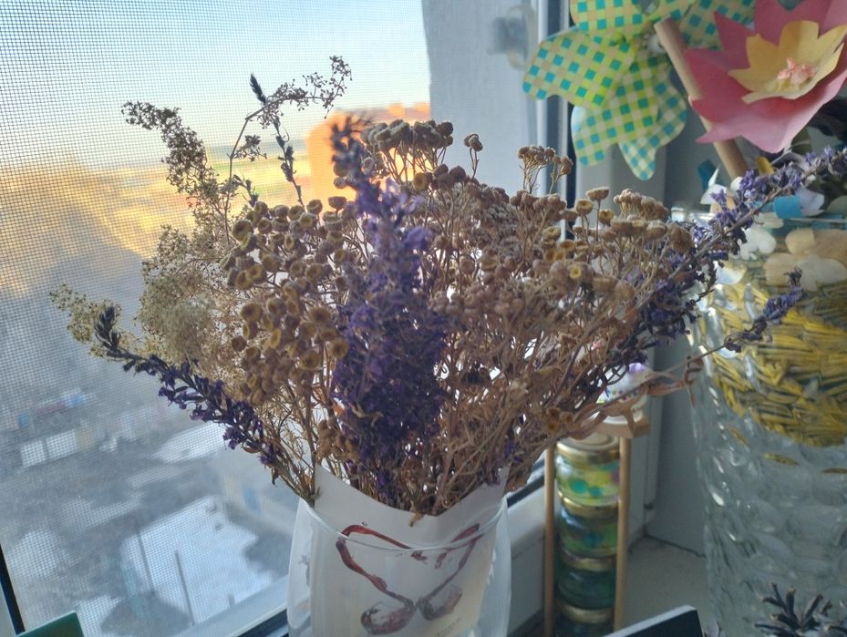 Сухоцветы для творчества