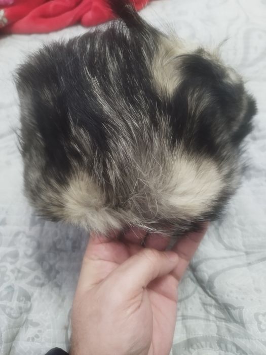 шапка из волчьей шкуры Телпак  Норка