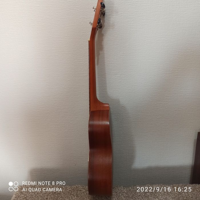 Укулеле  flight.