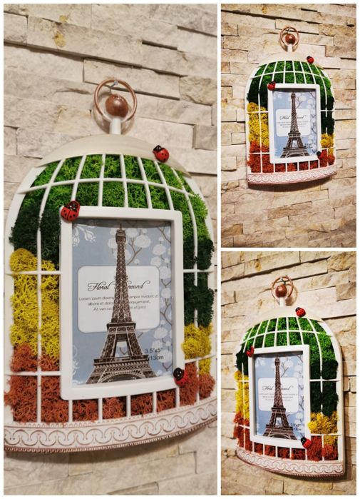 Rama foto colivie cu licheni stabilizati