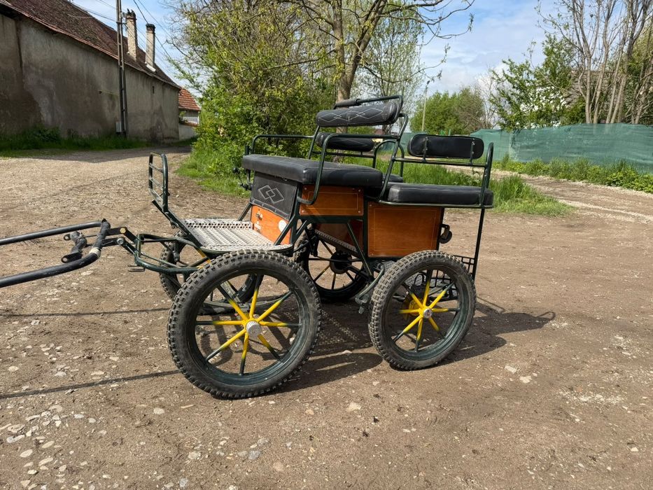 Trasura maraton de vanzare caii trasuri de vanzare