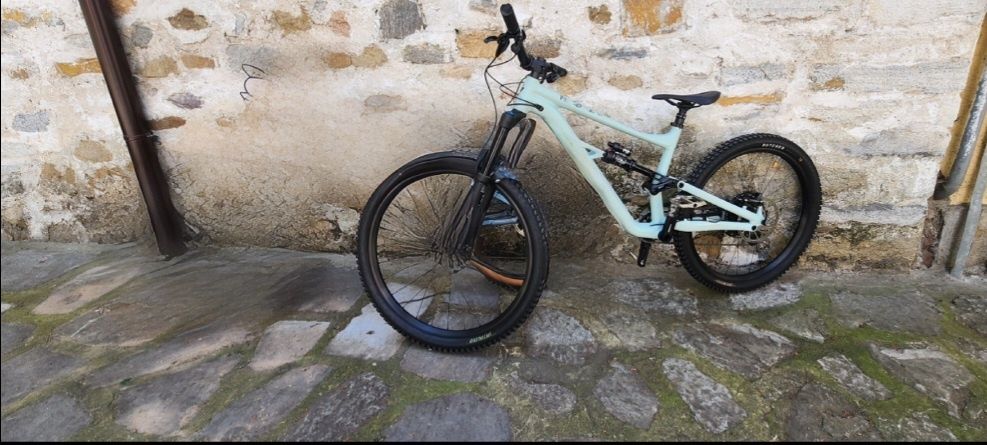 Specialized status 160