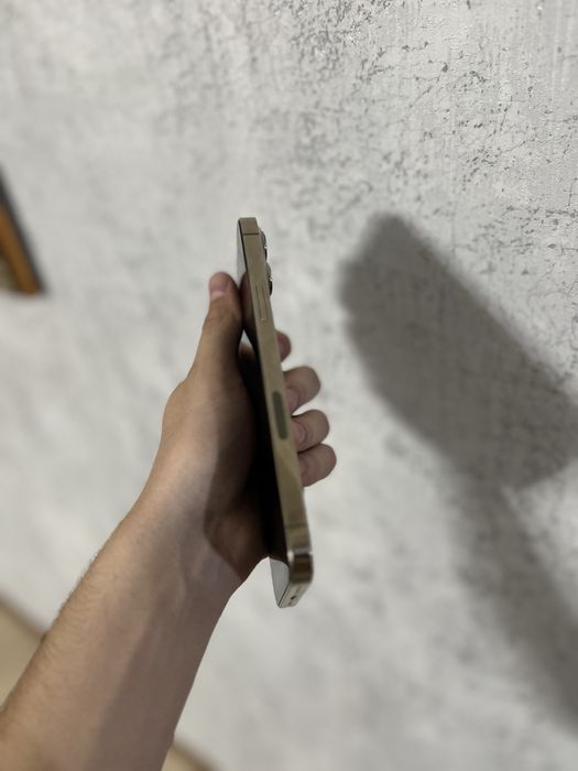 Iphone 13 Pro Max 512GB 100%