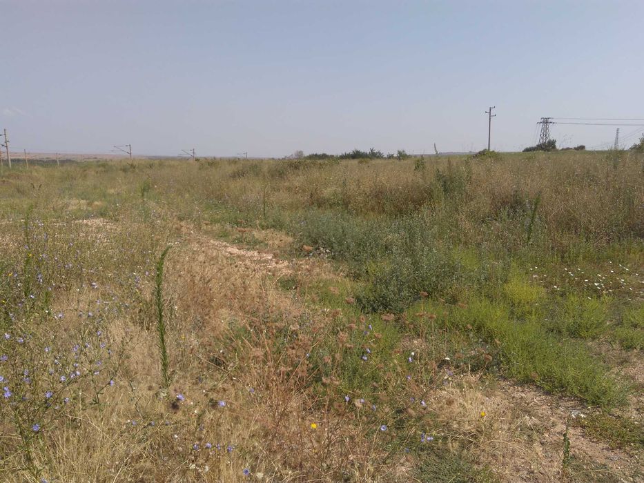 Продава се Парцел в Гълъбово - 8610 кв.м за 4 €/кв.м - Снимка #5