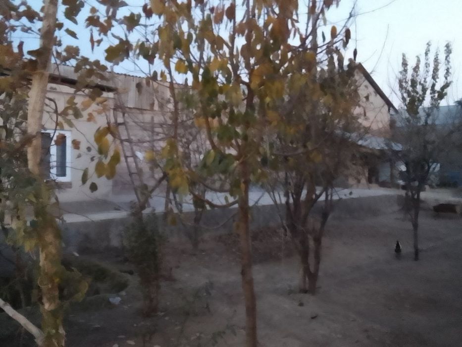 Ховли Срочно сотилади