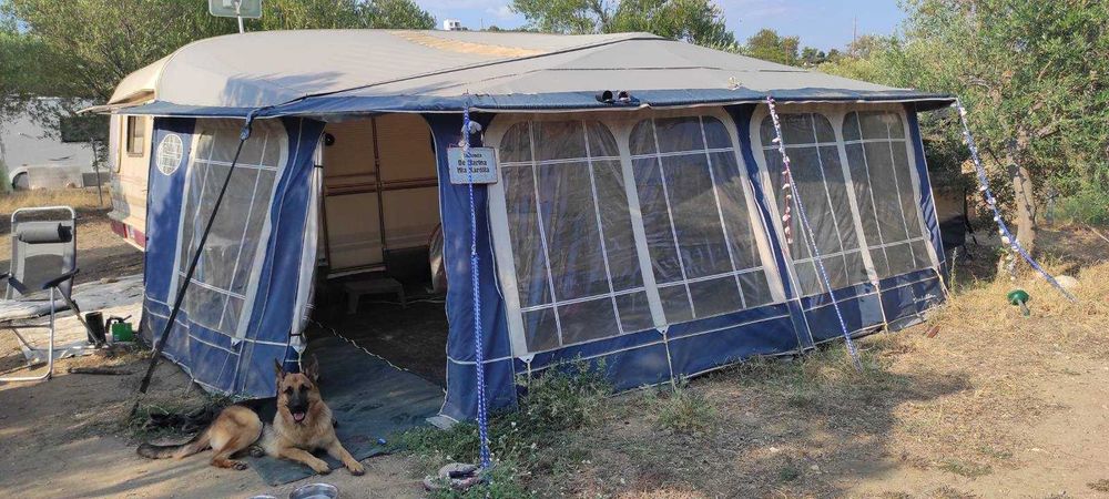 Форселт Изабела пента голд размер 1025