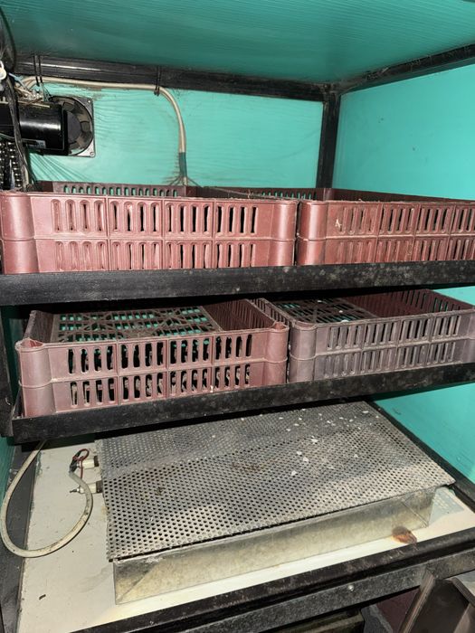 Инкубатор на 300 яиц. 100 тыс тенге