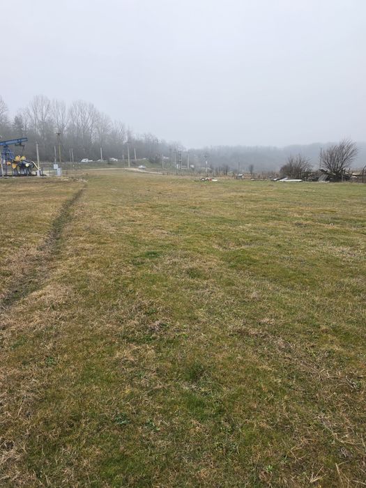 Teren Priseaca/Dragomirești