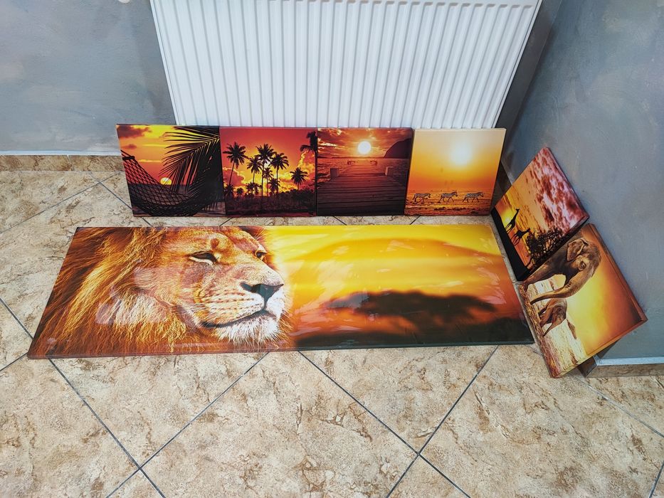 Vand tablouri canvas decorative