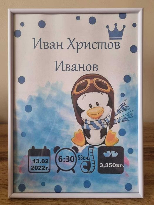 Персонализирана бебешка визитка