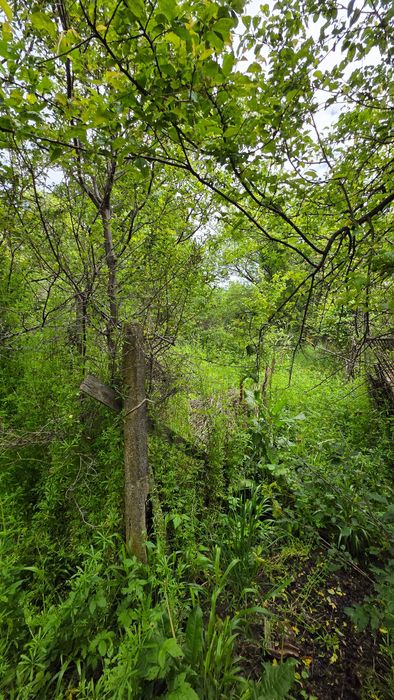 Недвижим имот в махала Ръжища, с. Миланово, община Своге