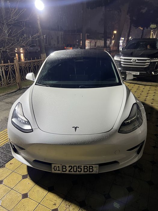 tesla model 3 2019