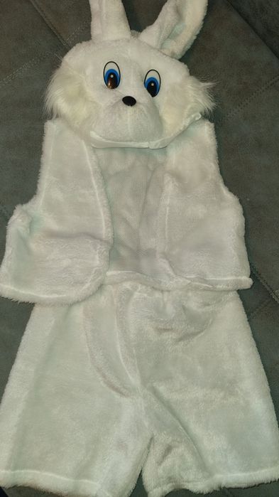 Продам карнавальный костюм