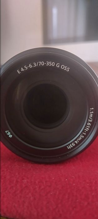 Sony A6000 + Sony E  70-350mm  G OSS + Sony E 50 F1,8 + Sony 16-50 OSS