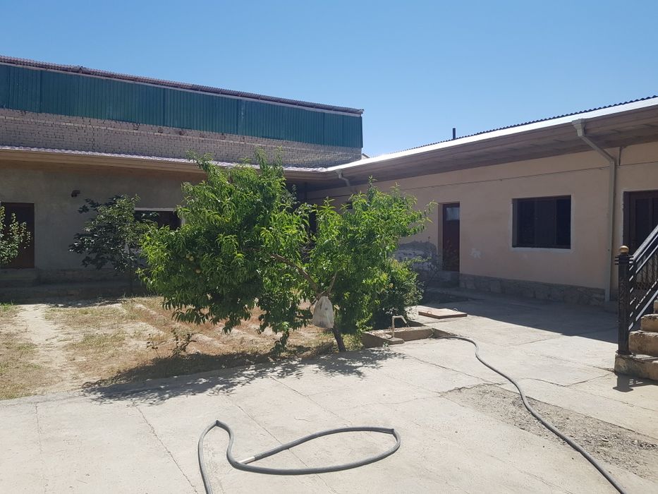 Навоий  Умид кургонида ховли срочно сотилади