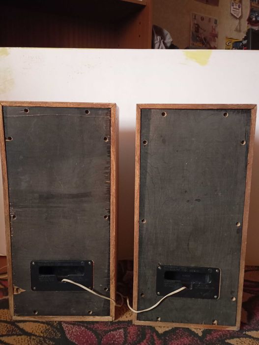 Колонки Вега 50АС-104 8 ом