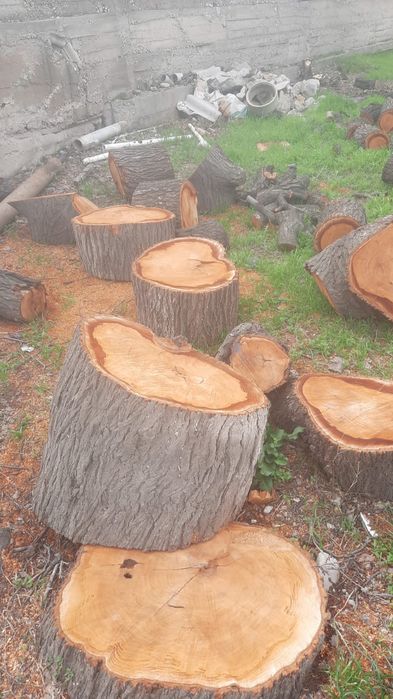 Коргак агаш, дрова