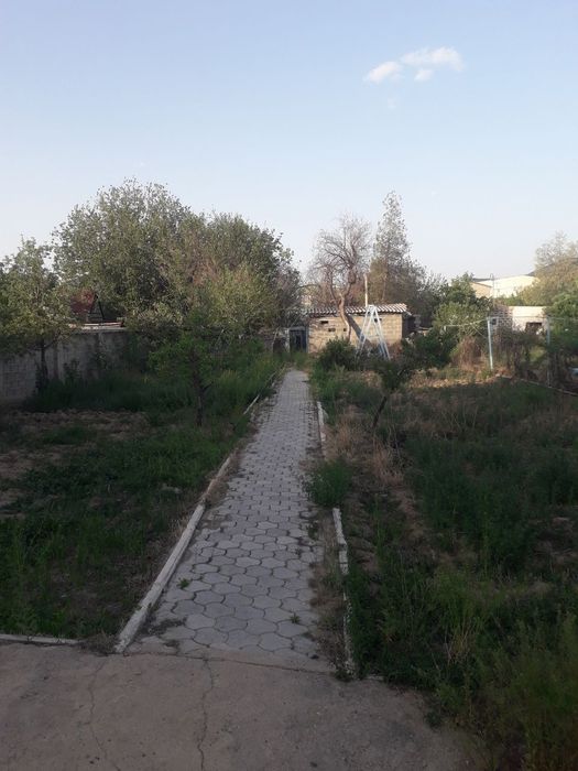 2та дача битта килинган  13,2 сутик ярмисини хам келишамиз