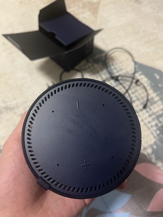 Алиса умни калонка