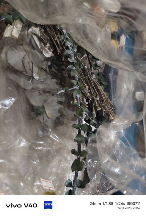 Стабилизированные растения для поделок