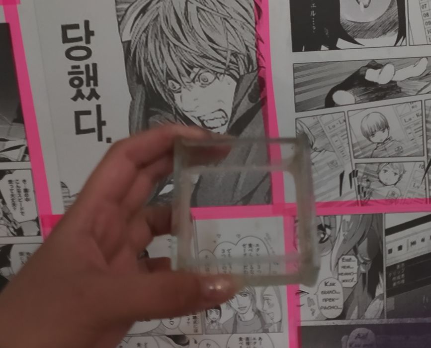 Террариум для пауков.