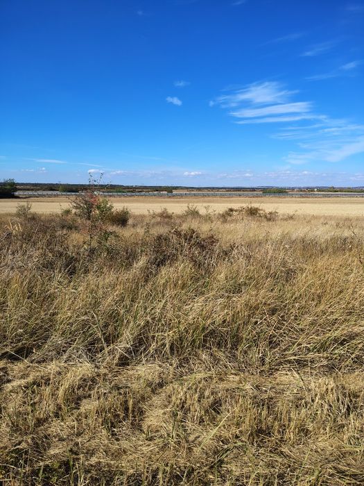 Teren 500 mp – Cihei / limită Apateu | Lângă Inelul Metropolitan
Vând teren intravilan
