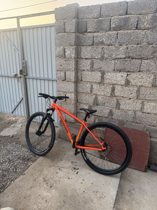 Cannondale trail 6 29" M