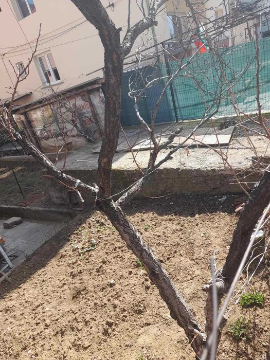 Продава се Етаж от къща в Кюстендил, Център - 77 кв.м за 819 €/кв.м - Снимка #12