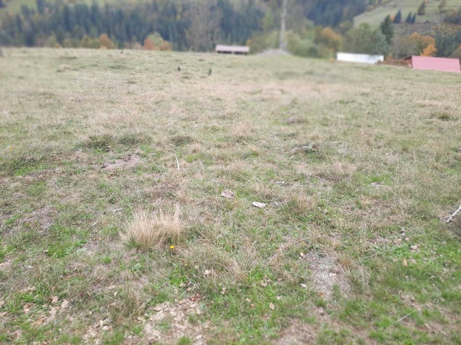 Teren în Arieșeni jud Alba