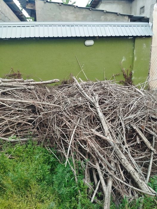 Бесплатные дрова