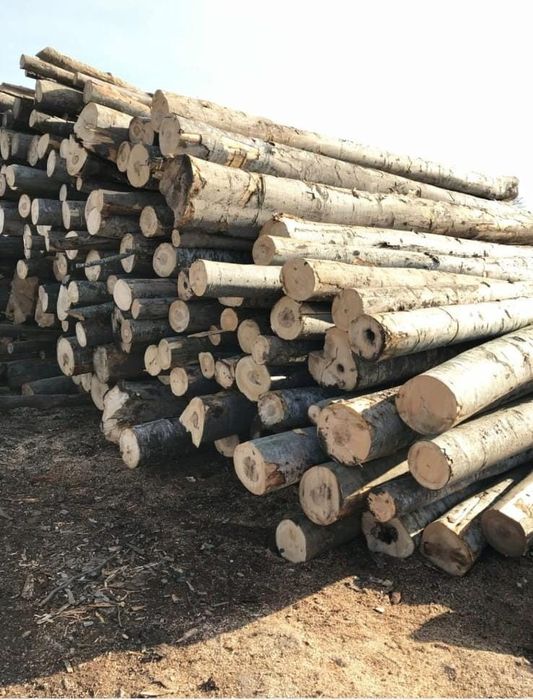 Vand lemne de foc bustean sau  tăiate si crepate la cerere!