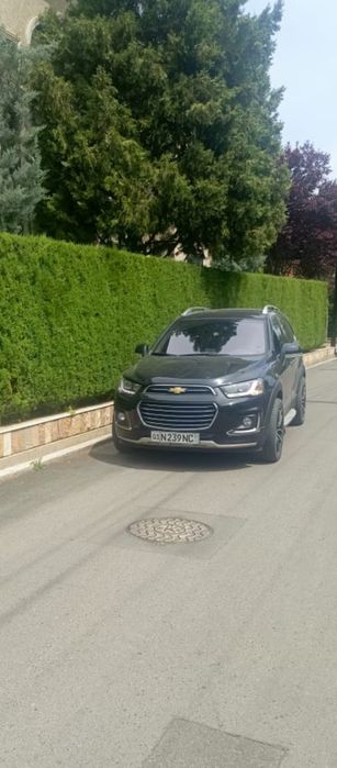 Забор из ёлок под ключ