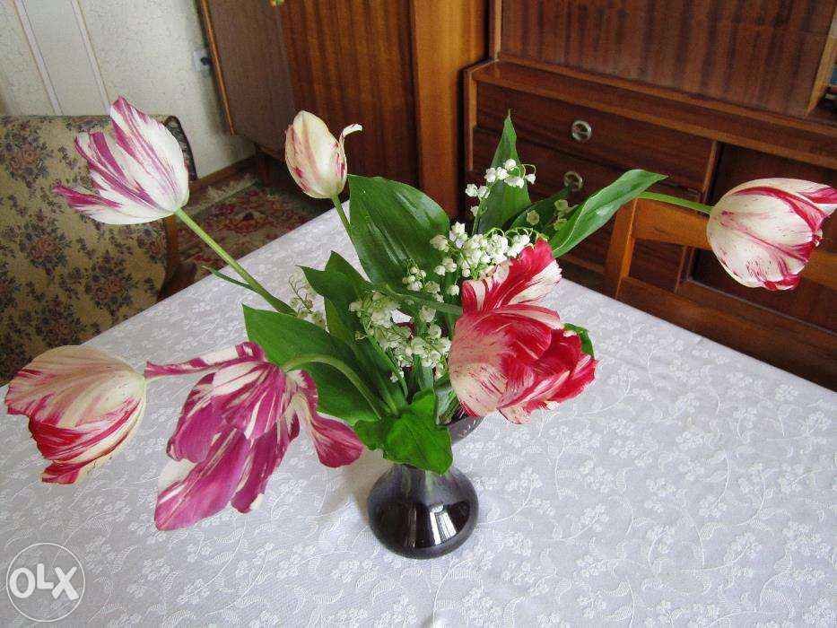 Bulbi de lalele -MIX circumferinta 12/13/14; 10/11; 7/8