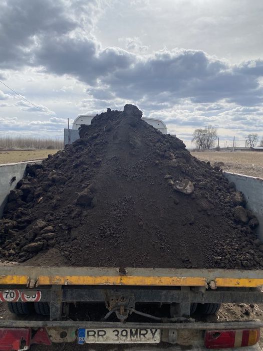 Pământ negru vegetal