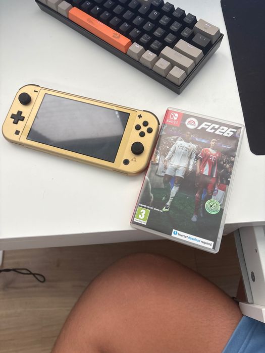 Nintendo Switch Leit