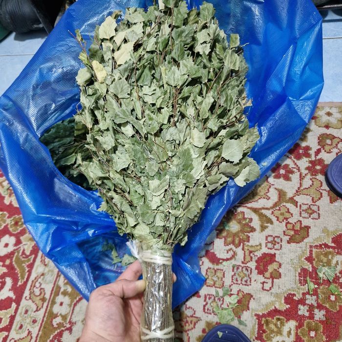 Веники банный Береза.