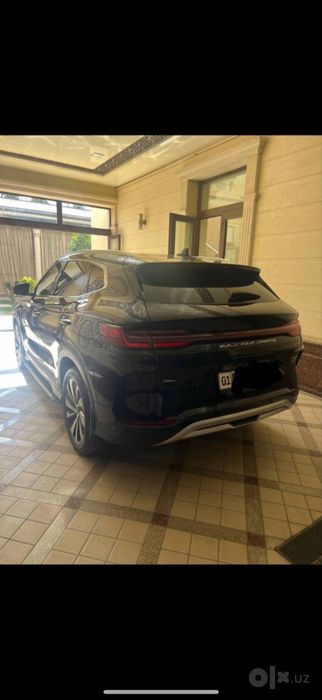 Byd chempion gibrit