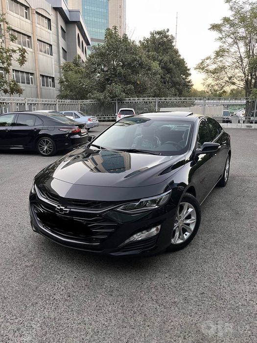 Malibu 2 XL 2023