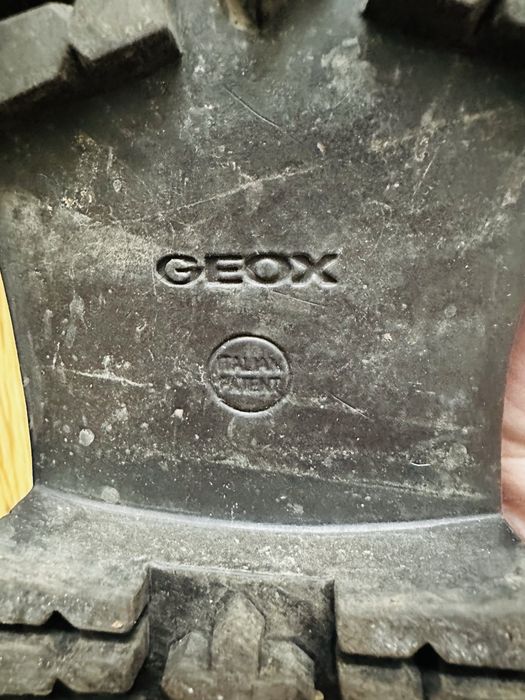 Осенние ботинки GEOX