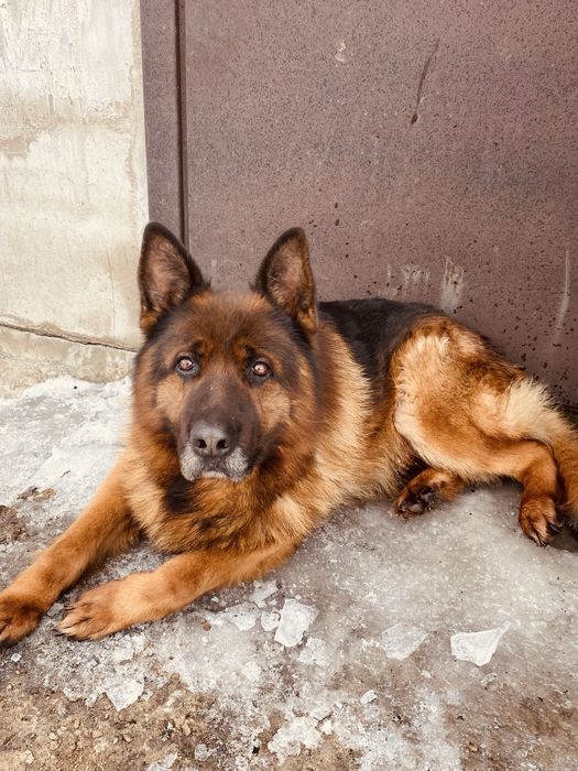 Красавчик ищет невесту!!!