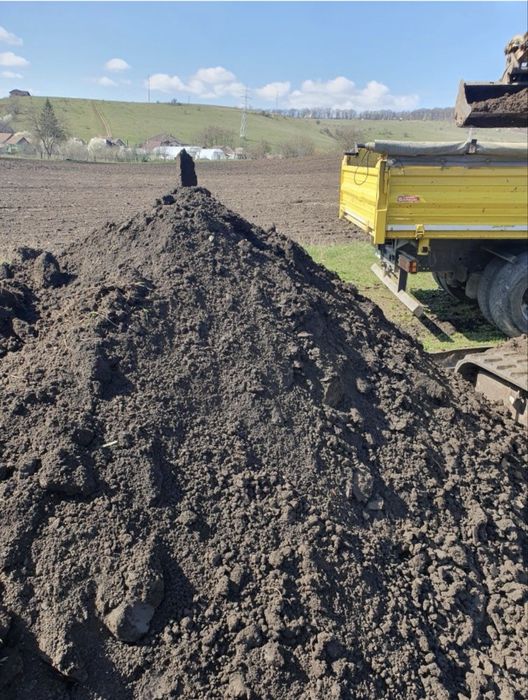 Pamant negru vegetal