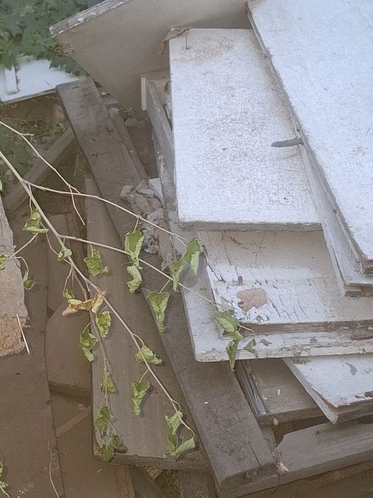 Отдам дрова. Самовывоз