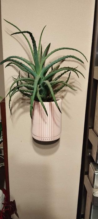 3D Принтирана саксия