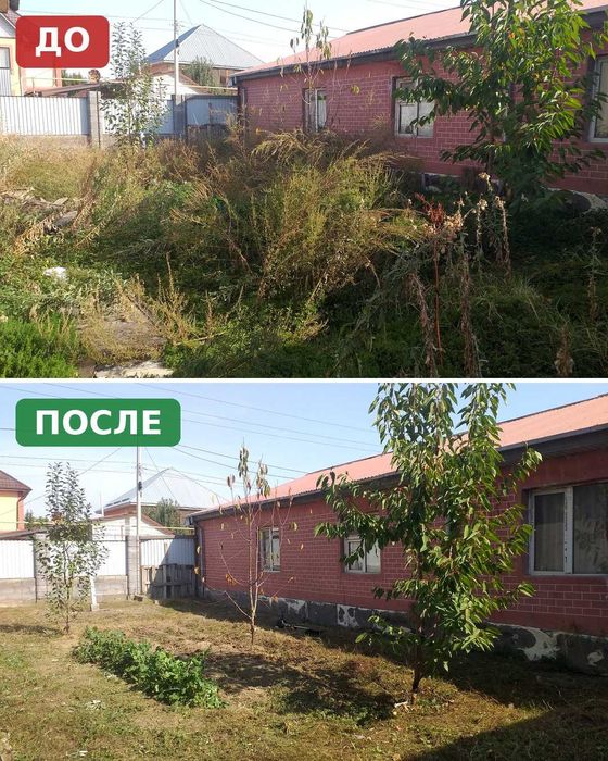 Покос травы, расчистка участка