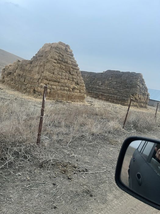 сено люцерн багасы келисимди