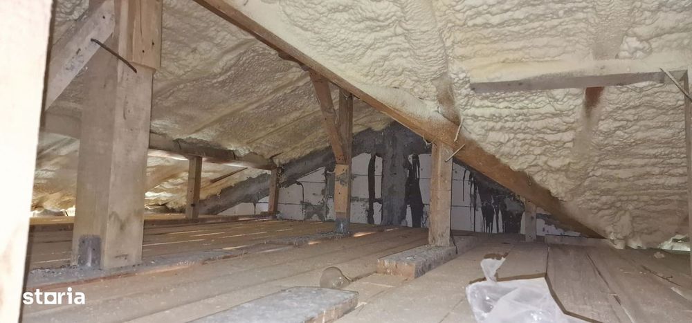 Vila P+1, zona linistita, pentru doua famili.