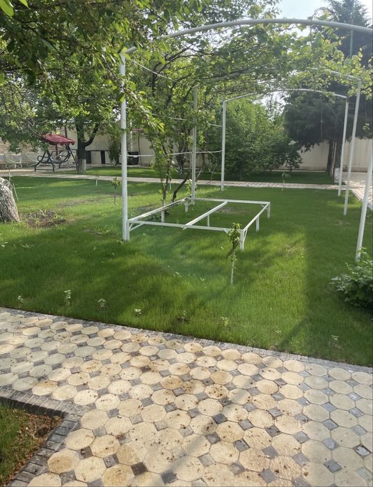 Бостонлик Туман Дача Срочно !