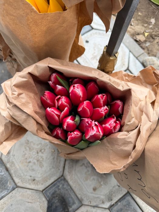 Тюльпаны оптом розница